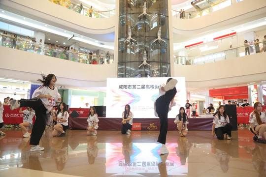 图示, 示意图 中度可信度描述已自动生成:ver1